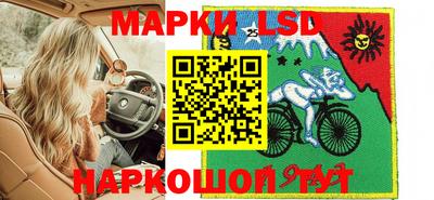шишки Шелехов