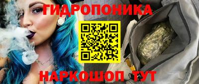 шишки Шелехов